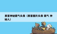 黑客神秘霸气头像（黑客图片头像 霸气 神秘人）