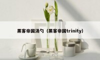 黑客帝国汤勺（黑客帝国trinity）