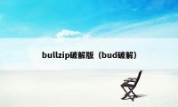 bullzip破解版（bud破解）