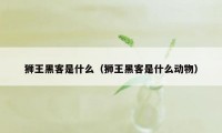 狮王黑客是什么（狮王黑客是什么动物）