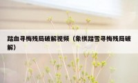 踏血寻梅残局破解视频（象棋踏雪寻梅残局破解）