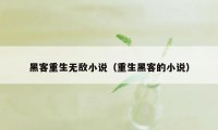 黑客重生无敌小说（重生黑客的小说）