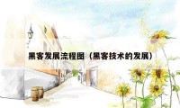 黑客发展流程图（黑客技术的发展）