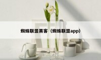 蜘蛛联盟黑客（蜘蛛联盟app）