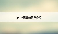 puzz黑客的简单介绍