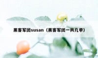 黑客军团susan（黑客军团一共几季）