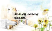 bilibili邮箱（bilibili邮箱怎么解绑）